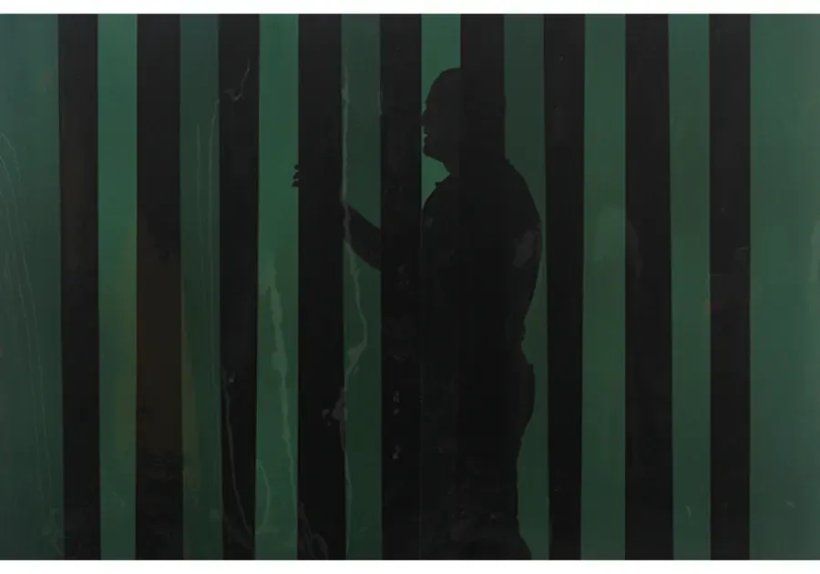 Cepro Clear Strips, Green EN ISO 25980 — 300x2mm/m¹