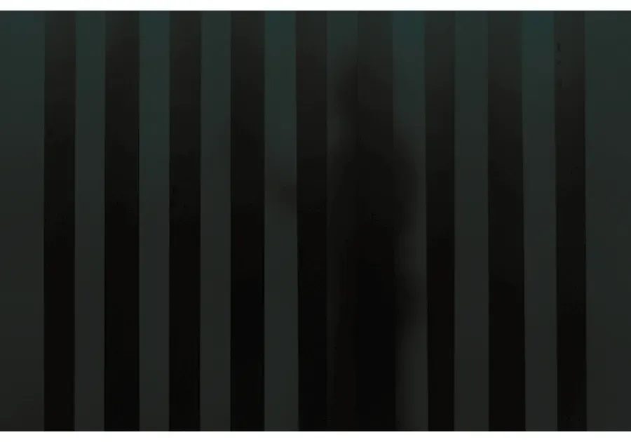 Cepro Clear Strips, Dark Green EN ISO 25980 — 300x2mm/m¹