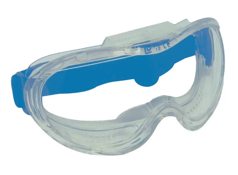 Clear Panorama Safety Goggles